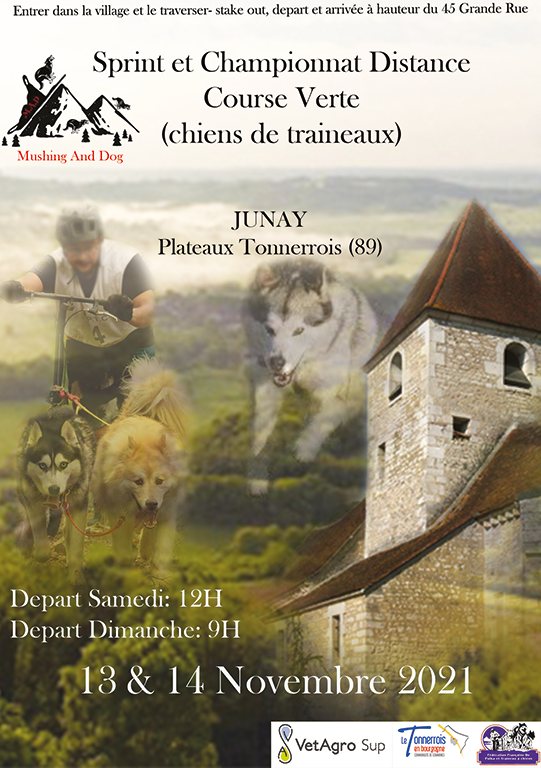 AFFICHE 2021 Course Verte Attelages JUNAY