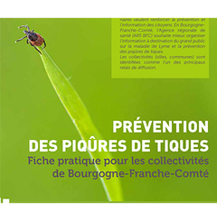 lyme_vignette.jpg